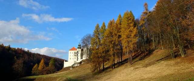 Pieskowa Skała atrakcje, które zaskoczą każdego turystę